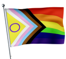 Drapeau LGBT-Expert Drapeaux