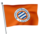 Drapeau MHSC