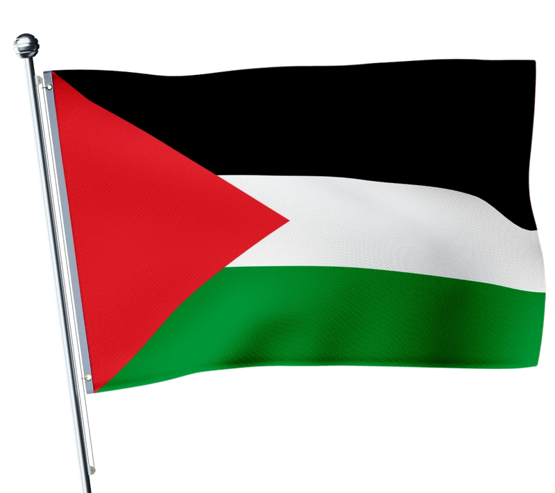 Drapeau Palestine-Expert Drapeaux