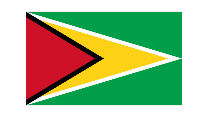 Drapeau Guyane-Expert Drapeaux