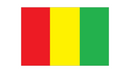 Drapeau Guinée-Expert Drapeaux