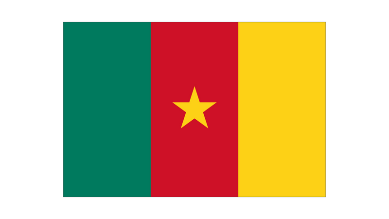 Drapeau Cameroun-Expert Drapeaux