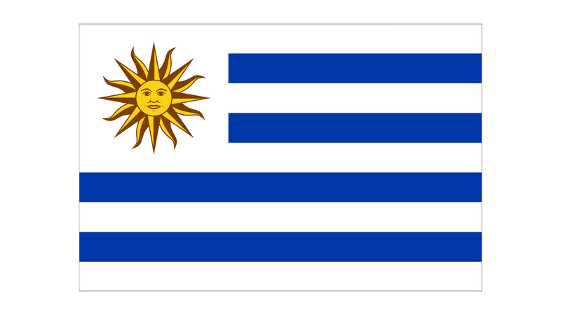 Drapeau Uruguay-Expert Drapeaux